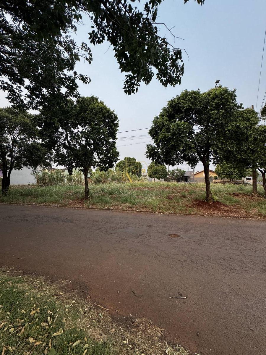 Apenas 130 metros da Avenida Rio Grande do Sul, à venda em Marechal Cândido Rondon